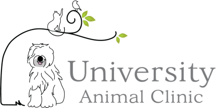 University Animal Clinic